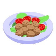 Falafel salad icon. Isometric of Falafel salad vector icon for web design isolated on white background