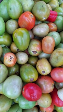 Tomatoes 