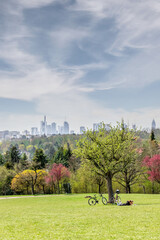 Frankfurt seen from a park outside of the skyline with bycicles under a tree upright	