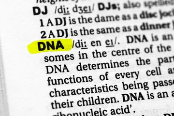 Highlighted word dna concept and meaning.