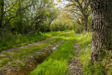 sentier champêtre