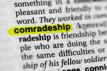 Highlighted word comradeship concept and meaning.