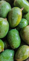 Bunch of raw green mangoes