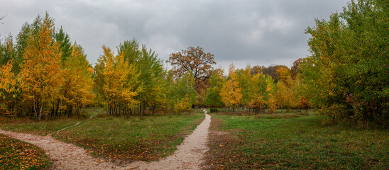 Fototapeta premium Nice golden autumn landscape view of park in Uman Ukraine
