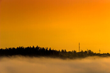 misty landscape with spruce carpathian forest before sunrise
