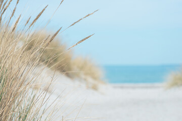 Baltic sea dunes over blue coastline background - obrazy, fototapety, plakaty