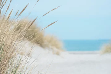 Foto op Plexiglas Oostzeeduinen over blauwe kustlijnachtergrond © spass