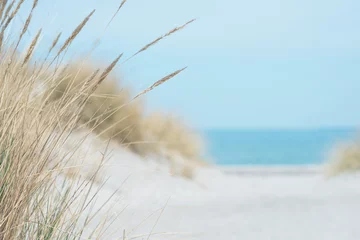 Baltic sea dunes over blue coastline background