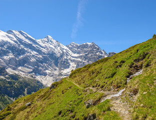 Fototapeta premium The Swiss Alps at Murren, Switzerland. Jungfrau Region. The valley of Lauterbrunnen from Interlaken.
