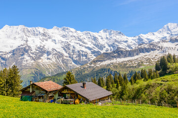Beautiful Swiss mountain valley landscape with a house.
