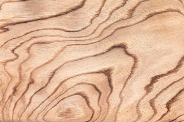 Beautiful wood texture with a pattern. Textured wooden background.