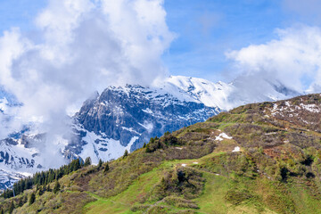 View of beautiful landscape in the Alps with fresh green meadows and snow-capped mountain tops in the background on a sunny day with blue sky and clouds in springtime.
