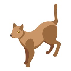 Cats allergy icon. Isometric of Cats allergy vector icon for web design isolated on white background
