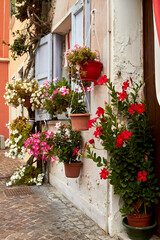 Fototapeta premium Among the flowery houses of Caorle's city
