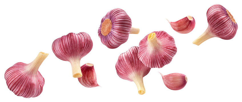 Falling red garlic isolated on white background