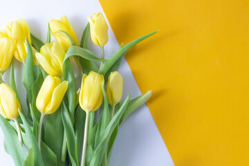 Yellow tulips flowers on yellow background.Mothers Day, Birthday, Valentines Day. Concept of holiday. Symbol of spring. Flat lay, top view, copy space