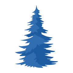 Illustration of spruce. Natural icon of blue tree.