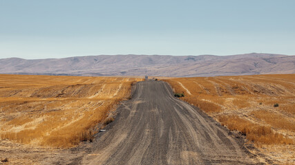 road in the prairie in Douglas County, Washington, United States.
