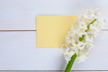 Fresh white flowers hyacinths in ray of light and a sheet of paper on a white wooden table, a love letter. Selective focus. Place for text.
