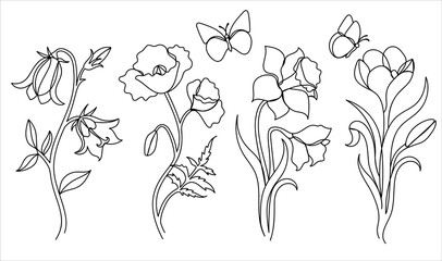Wildflower in a hand drawn line art style. 