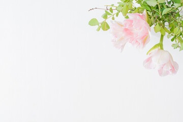 Flat lay spring composition with pink tulips in a vase on a light background