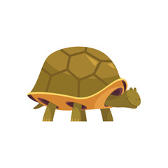 Turtle Cartoon Icon