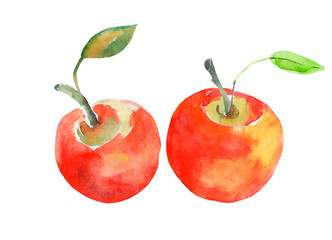 Red apple. Watercolor.Pattern.Image on a white background.