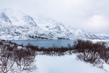 Winterlandschaft in einem Fjord auf den Lofoten, Norwegen