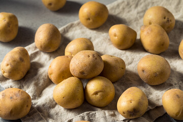 Raw Organic Yellow Potatoes