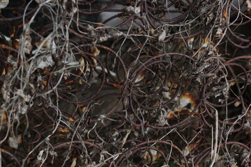 Old corroded spring of mattress dark background texture