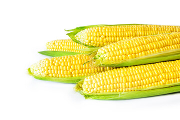 Сlose-up photo of cobs of raw unprepared corn with foliage on white background