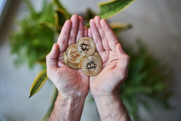 Bitcoin de oro en palma de la mano. Criptomoneda en la mano.