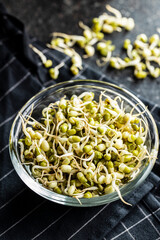 Sprouted green mung beans. Mung sprouts in bowl.