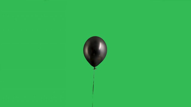 Black balloon hanging in the air against the background of a green screen chroma key. Isolated helium balloon on a ribbon. Birthday, party decoration, holiday, surprise, gift. Slow motion.