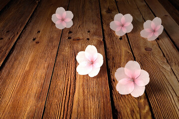 Pink sakura flowers close up. 3D rendering.