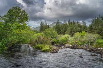 Beautiful Owenreagh River and lush green forest in Molls Gap or valley at MacGillycuddys Reeks mountains, Wild Atlantic Way, Ring of Kerry, Ireland