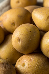 Raw Organic Yellow Potatoes