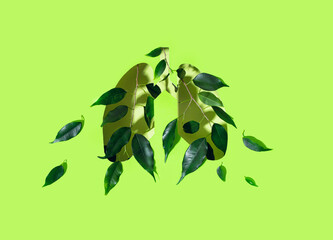 World Asthma Day concept. Awareness poster with healthy human lungs and green leaves on olive background