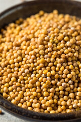 Raw Organic Yellow Mustard Seeds
