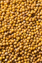 Raw Organic Yellow Mustard Seeds