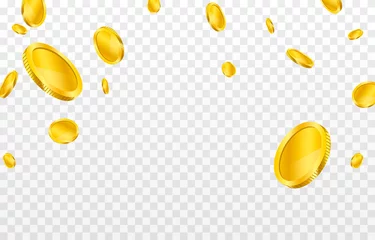 Foto op Canvas Vector gold coins fall from the sky. PNG money, png coins. Explosion of coins on isolated transparent background. Easy Money. © Vitaliy