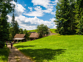 wooden house in the forest