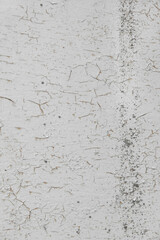 Shabby old paint background. Vintage ancient background. Gray tint of textured old wall. Cracked paint