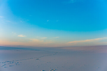 Morning azure sandy coast of the Pacific Ocean