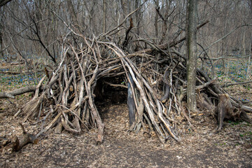 A hut in a wild forest, made of trees.