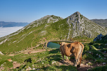 View of the Peña Sobia lagoon, in the council of Teberga (Teverga), in Asturias (Asturies)