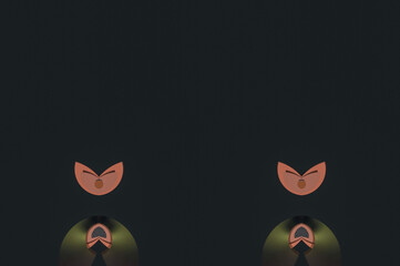 Abstract vintage and muted color cat form illustration on black banner background 