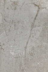 Shabby concrete background. Vintage ancient background. Gray tint textured old wall
