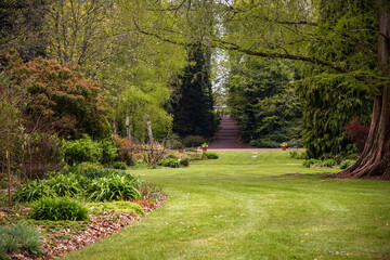 Obraz premium floral park