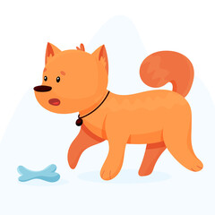 The domestic dog guards the bone. Cute pet